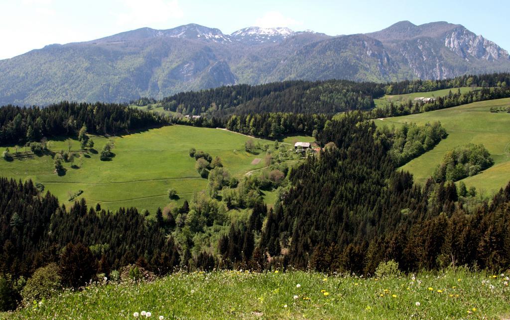 Farmstay Hisa Pecovnik Luče Exterior foto